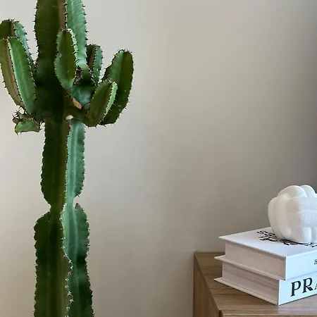 Apartment Golem, Durres *